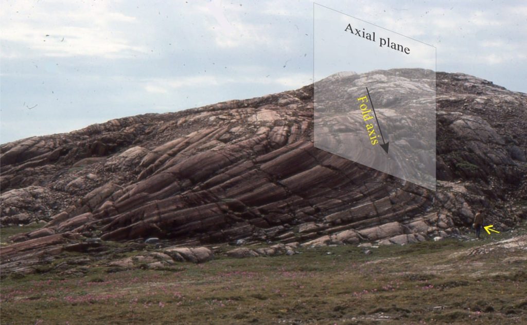 Axial plane and plunging fold axis of a drag fold