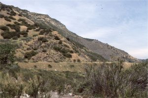 
Late Miocene, lacustrine prodelta (base) to distributary channel-bar facies, Ridge Basin. Ridge Basin is a strike-slip basin wrenched by the San Gabriel fault strand of the San Andreas transform. The delta, on one side of the basin, is equivalent to the Violin Breccia that formed continuously along the active faulted margin. (Piru Gorge Member of Ridge Route Formation)