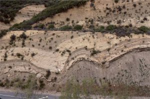 Syndepositional slumps and accommodation faults in thin delta front sandstones and prodelta or slope mudstone in the approximate centre of the basin. The units are part of a sediment wedge that prograde from the northeast margin. Marple Canyon Sandstone Member of the Ridge Route Formation, exposed along Templin Highway. I took this shot during a field trip led by Tor Nilsen.