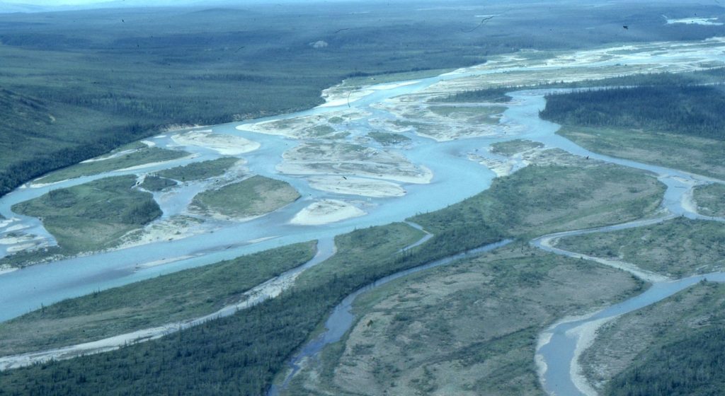 Sediment transferred from its source by fluvial channels may move directly to a sink (such as a delta) or spend time in inactive channel bars (usually a temporary stop over), or for longer periods, even permanently, in floodplains. The longevity and stability of floodplains is enhanced by vegetation.