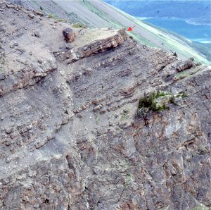 Discordance in shale unit – was this caused by local slumping or local topography over a levee?