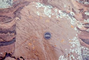 This sandstone dyke terminates in, and probably breached shallow intertidal deposits.  The surrounding layers have been dragged upwards during sand intrusion.  Structures like this  commonly form during earthquakes when soft sediment is liquefied.  Fairweather Fm, Belcher Islands, about 2 billion years old.