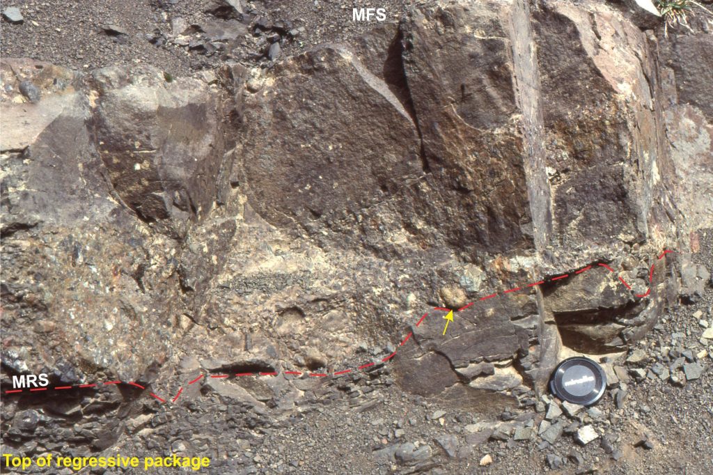 Detail of parasequence stratigraphy from the Jurassic Bowser Basin, northern British Columbia. The top of the regressive succession is identified as an MRS surface, outlined by the yellow dashed line. Above is a pebbly, fossiliferous muddy sandstone (small ammonite indicated by arrow), that grades upward to grey, muddy, micritic limestone (a few pebbles). The limestone is very hard and fractures conchoidally. The limestone is overlain by another coarsening-upward shale-sandstone package (the regressive component of the next parasequence); the limestone-shale contact is a maximum flooding surface (MFS).