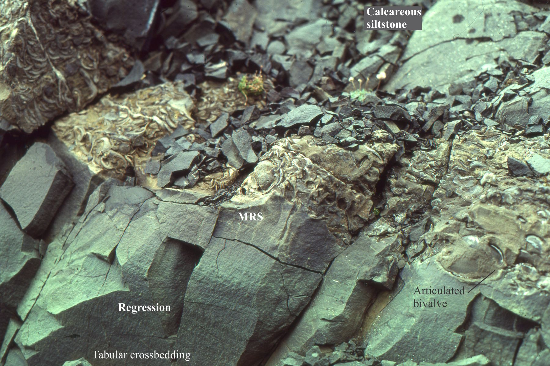 Regression Geology