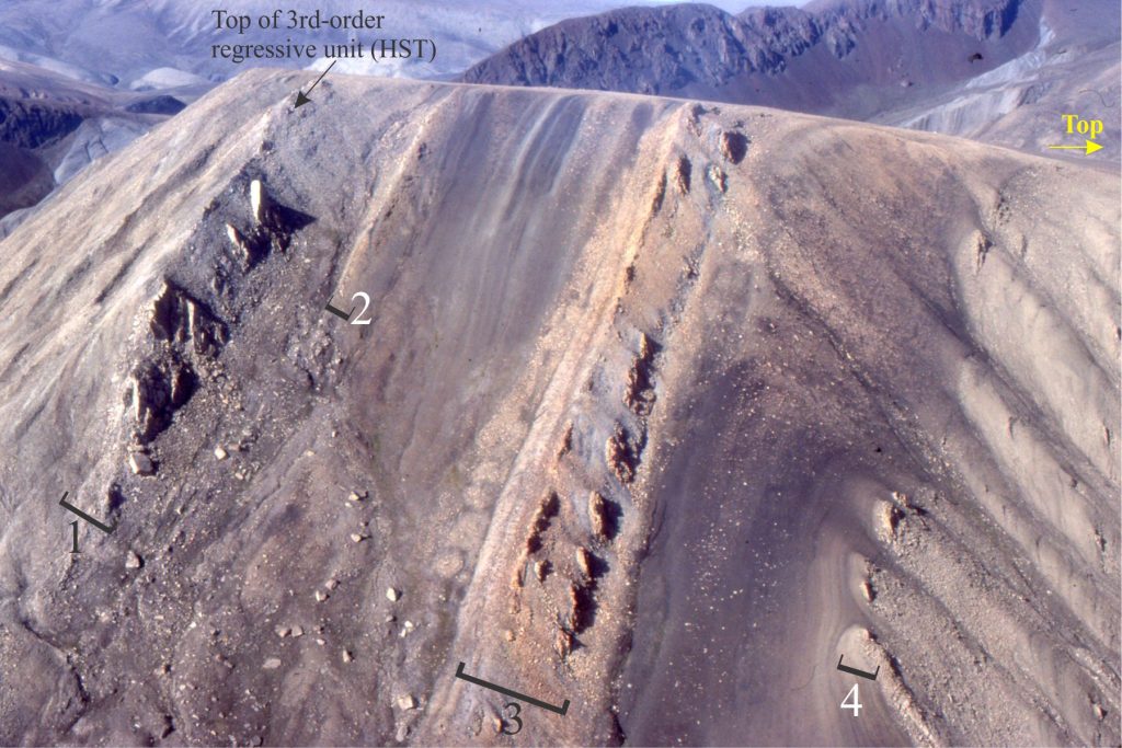 The examples of RSME surfaces are from the Paleocene Stand Fiord Formation on Axel Heiberg Island (Arctic Canada), part of a third-order sequence. The transition from normal regression (left side, labelled HST) to forced regression is recorded by shelf mudrocks interleaved with abrupt-based, tabular-bedded sandstone units; the base of each sandstone unit is an RSME. The top of each unit is relatively abrupt but conformable. There are three main periods of RSME development that in this view are the three packages of resistant beds (labelled 1 to 3); each package may represent a higher-order cyclicity that is superposed on the 3rd order sequence. In outcrop, the sandstones have blocky profiles (see image below) compared with the more recessive weathering mudstones. Each sandstone unit represents a period of shoreface progradation where sediment supply briefly kept pace with falling baselevel. The overall shoreline trajectory during baselevel fall was gentle seaward downstepping. 