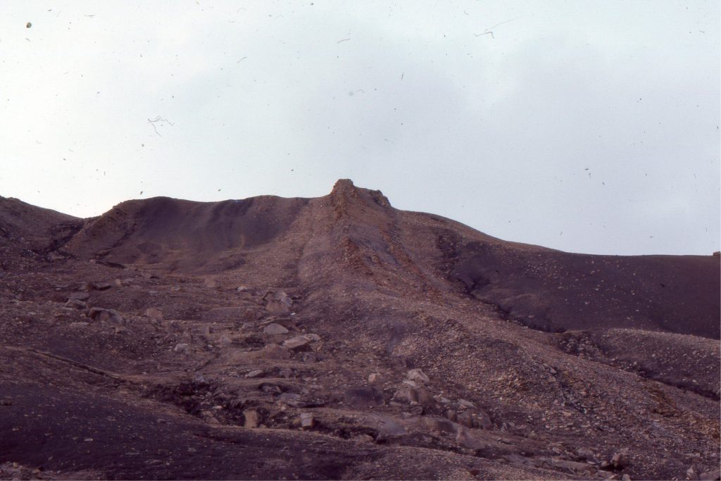 An along-strike view of three forced regressive sandstone wedges (package #2 in the image above). The base of each is an abrupt, locally scoured surface of marine erosion (RSME) that overlies discordantly shelf mudrocks, and in turn are overlain conformable by shelf deposits. The sandstones contain planar and trough crossbeds that formed as subaqueous dunes that migrated across a shallow, sandy shoreface-beach. Each sandstone wedge prograded as the shoreline down-stepped seaward during baselevel fall. 