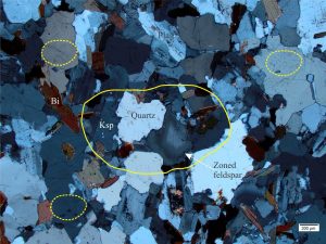 Biotite granite. The solid yellow outline corresponds to very coarse sand-size; the dashed outlines correspond to medium sand. Crossed polars.