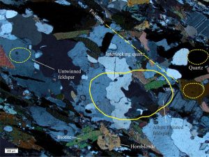 Biotite-hornblende gneiss. The solid yellow outline corresponds to very coarse sand-size; the dashed outlines correspond to medium sand. The straight dashed line parallels the foliation. Crossed polars.