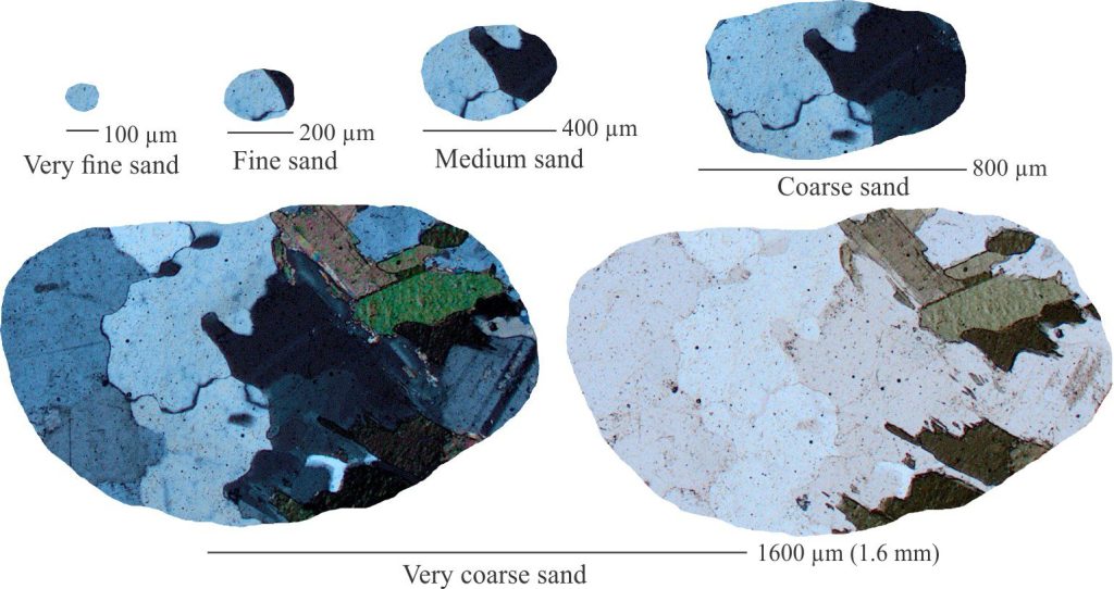 Lithic fragments composed of biotite-hornblende gneiss at progressively fine grain size. Views of the very coarse sand grain are crossed polars on the left, plain polarized light on the right. All other grains are crossed polars.