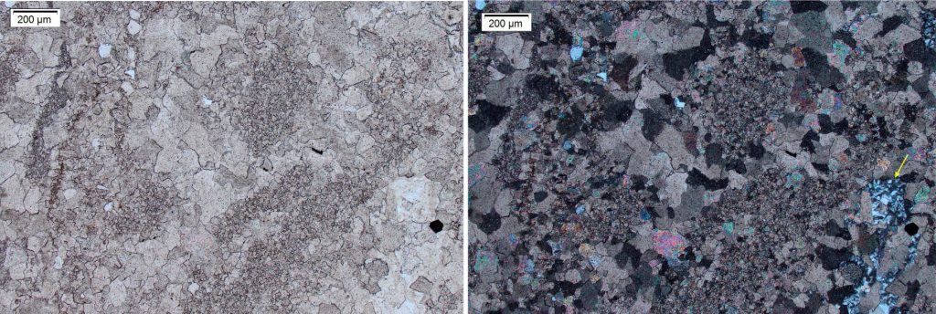 Aggrading neomorphism in this late Proterozoic cryptalgal laminated dolostone has produced a good example of structure grumeleuse, where clots of remnant micrite appear to ‘float’ within coarser, sparry, neomorphic dolomite. The boundaries of each clot are indistinct. The gradation from micrite to coarser spar may be gradual or relatively abrupt. There is a complete range of crystal sizes from micrite to 200 μm. There is a small patch of chert at lower right (arrow). Tindir Group, Alaska. Left: Plain polarized light. Right: Crossed polars.