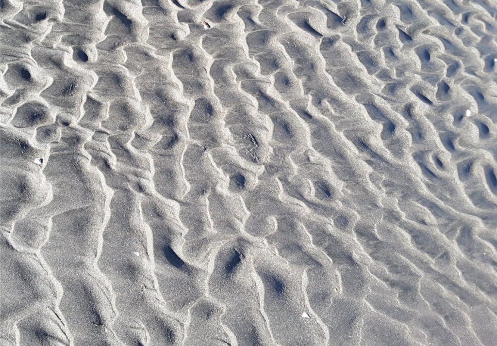 Recent linguoid and catenary ripples developed during ebb tidal flow (to the right) across the shallow margin of an ebb-tidal delta. Amplitudes are 10-20 mm and wavelengths 150-200 mm. Water depths at the time of formation were a few 10s of centimetres. The ripples were later modified slightly by erosion caused by exposure and runoff during the latest stage of the ebbing tide. Raglan, New Zealand. 