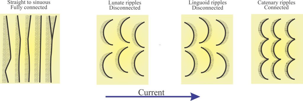 Outlines of the common ripple crest geometries. In each type, the lee slope will lie to the right of the crest lines. 