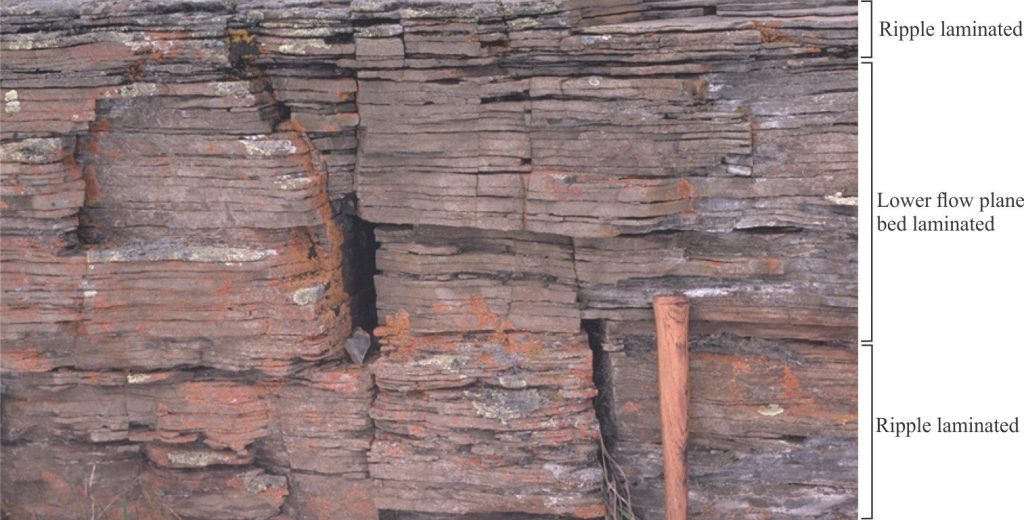 An interval, about 35 cm thick, of lower plane bed laminae in fine- to medium-grained fluvial overbank sandstone, overlain and underlain by sandstone containing low amplitude ripples (ripple lithofacies). Parting along bedding reveals significant amounts of carbonaceous plant fragments. There is also some mica. Cretaceous Kootenay Group, Alberta foothills.