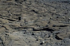 The exposure of trough cross-stratification on bedding is expressed as festoons of intersecting and overlapping crossbed sets. The curved base and foresets provide an excellent opportunity to measure paleoflow directions on a large number of individual crossbeds, wherein each flow vector bisects the curved foresets. In this example, flow was approximately parallel to the hammer handle towards the top of the photo. Middle Eocene Buchanan Lake Fm. Axel Heiberg Island.