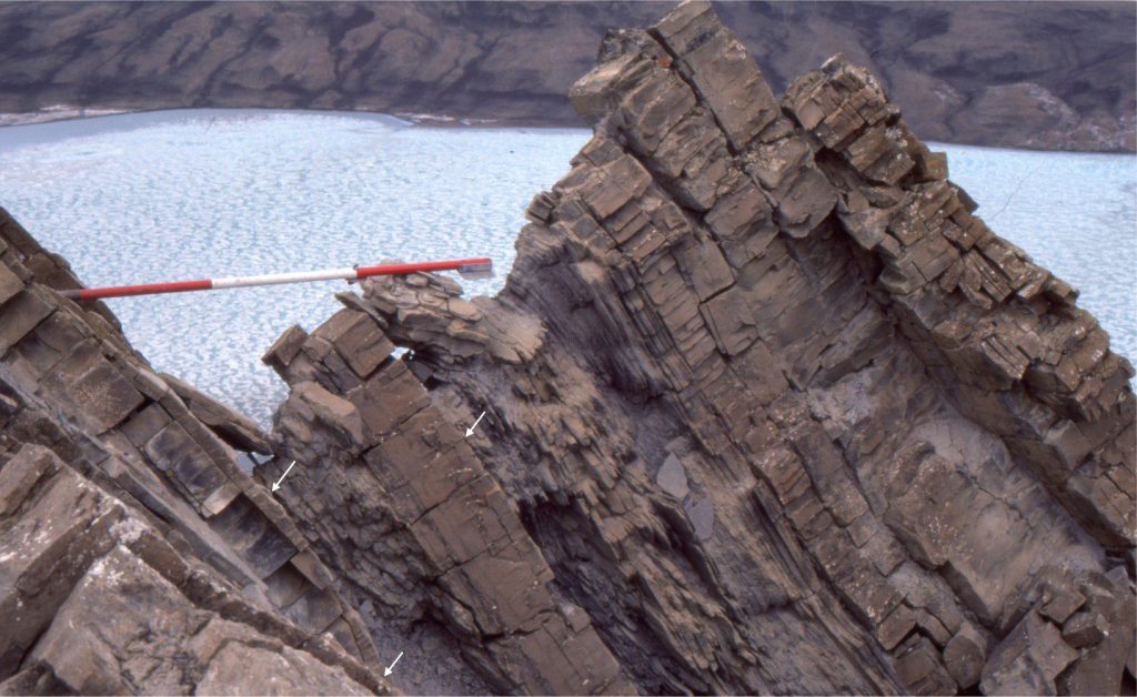 HCS mounds are exposed on bedding in the lower part of this shallowing-upward shelf parasequence (arrows). Mound amplitudes are 12-15 cm, and spacing is about 3 m. Lithofacies in the overlying beds include ripples, 2D dunes, and interbedded mudstone. The Jacob's staff is 1.5 m long. Eocene, Ellesmere Island. 