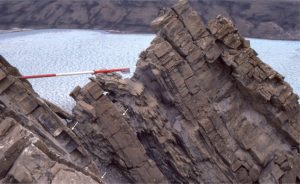 HCS mounds are exposed on bedding in the lower part of this shallowing-upward shelf parasequence (arrows). Mound amplitudes are 12-15 cm, and spacing is about 3 m. Lithofacies in the overlying beds include ripples, 2D dunes, and interbedded mudstone. The Jacob's staff is 1.5 m long. Eocene, Ellesmere Island.