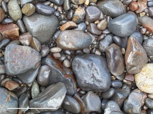 Rounded and subrounded pebbles and cobbles of andesite. The whole rock, polymineralic composition of each clast is a good representation of their source rock composition. Bar scale (lower left) is 100 mm long.