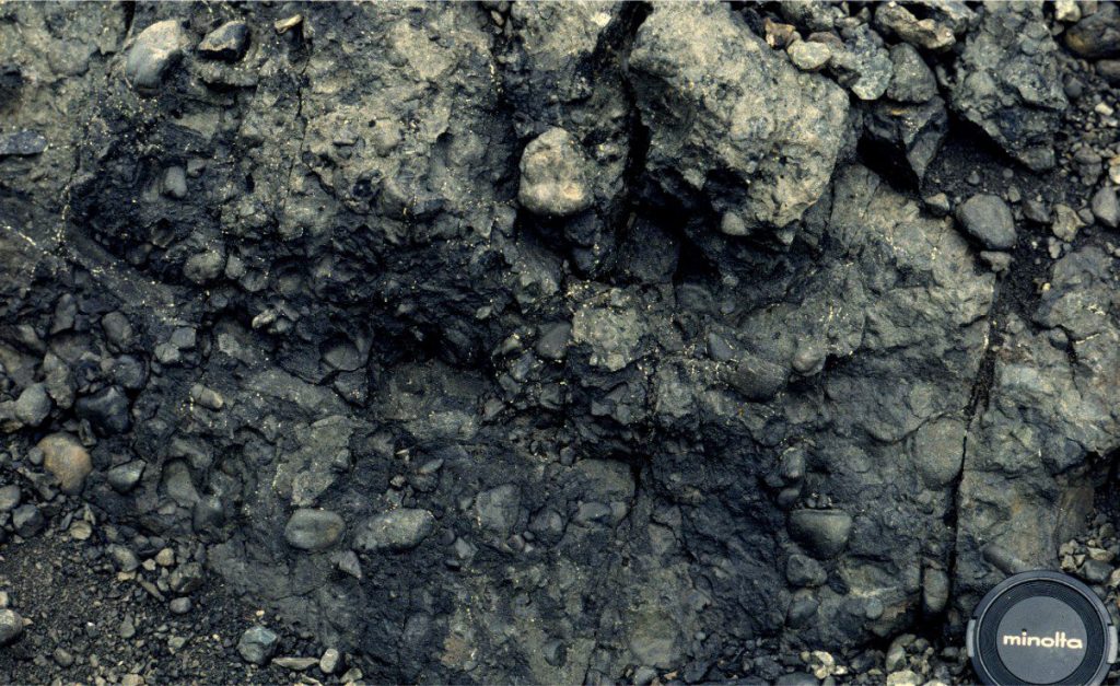 Mud flow deposits are generally clast poor – matrix-rich, as is the case in this Mid-Jurassic example from Bowser Basin, British Columbia. Here the pebbles are completely enveloped in a matrix of clay, silt, and sand. The outcrop is part of a submarine slope channel complex where channel-fill consists of mud flows, matrix-supported and clast-supported debris flows. The lens cap is 50 mm diameter.