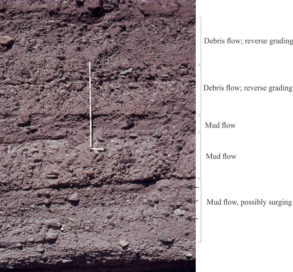 Mud flow and matrix-supported debris flow units over a 1.9 m thick section displaying some of the depositional characteristics that represent the rheological differences in flow mechanisms. The mud flow units lack grading and clast alignment. The lowest mud flow unit contains some grain size segregation that may represent successive surges. The debris flows at the top contain reverse grading. All flow units lack normal grain size grading and scouring along their basal contacts - characteristics that help to distinguish them from hyperconcentrated flow deposits. The scale is divided into 10 cm intervals. The outcrop is part of an arid alluvial fan, Gower Gulch, Death Valley.