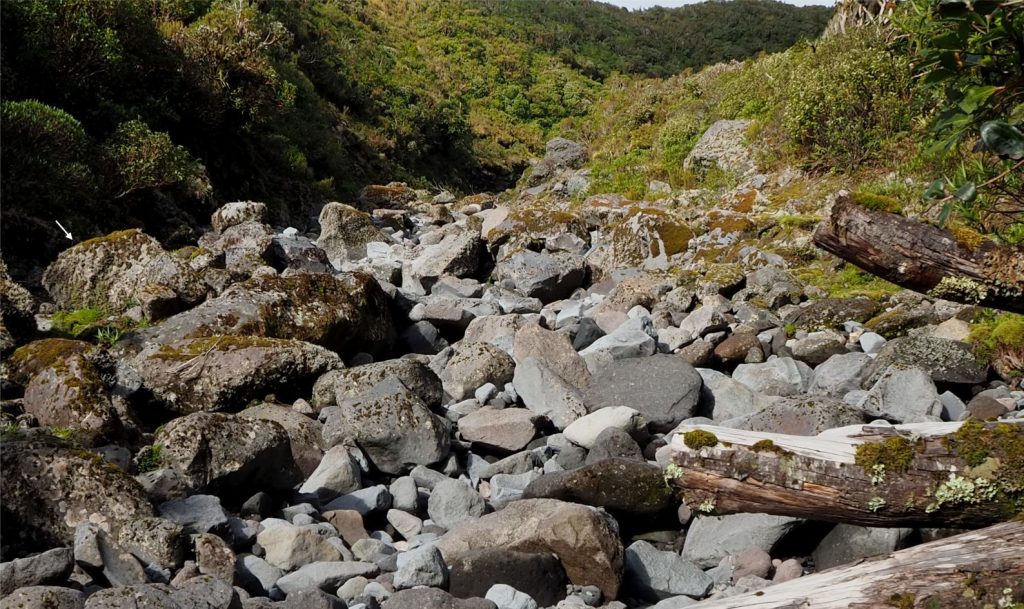 This boulder filled channel occurs on slightly lower gradient slopes about 2 km from the primary source of andesite flows. There is some evidence of clast rounding, although sorting is extremely poor. Water flow in this view is directed through large pore spaces in the gravel framework that exits into surface pools. The block indicated by the arrow is 1.5 m long dimension. Holly Hut track, Mt. Taranaki, New Zealand.