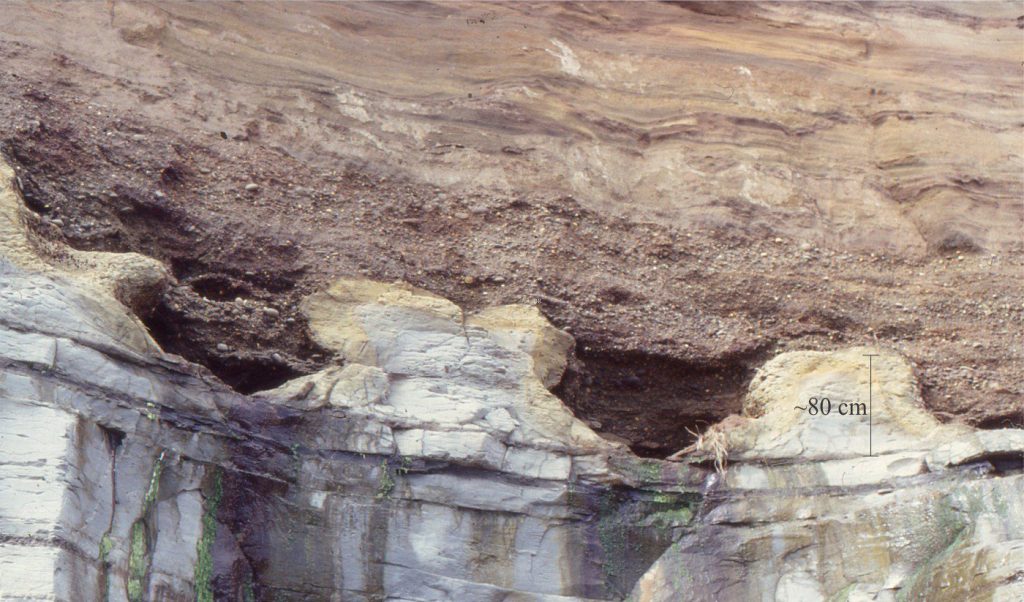 A Late Pleistocene guttered and potholed wave-cut platform on Pliocene mudrocks (Tangahoe Fm.) formed by ravinement during landward migration of the shoreline about 120,000 years ago. Ravinement may have removed an earlier subaerial unconformity. The overlying conglomerate and sandstone accumulated on a shallow shoreface and beach during the subsequent regression. The gutters are about 80 cm deep.