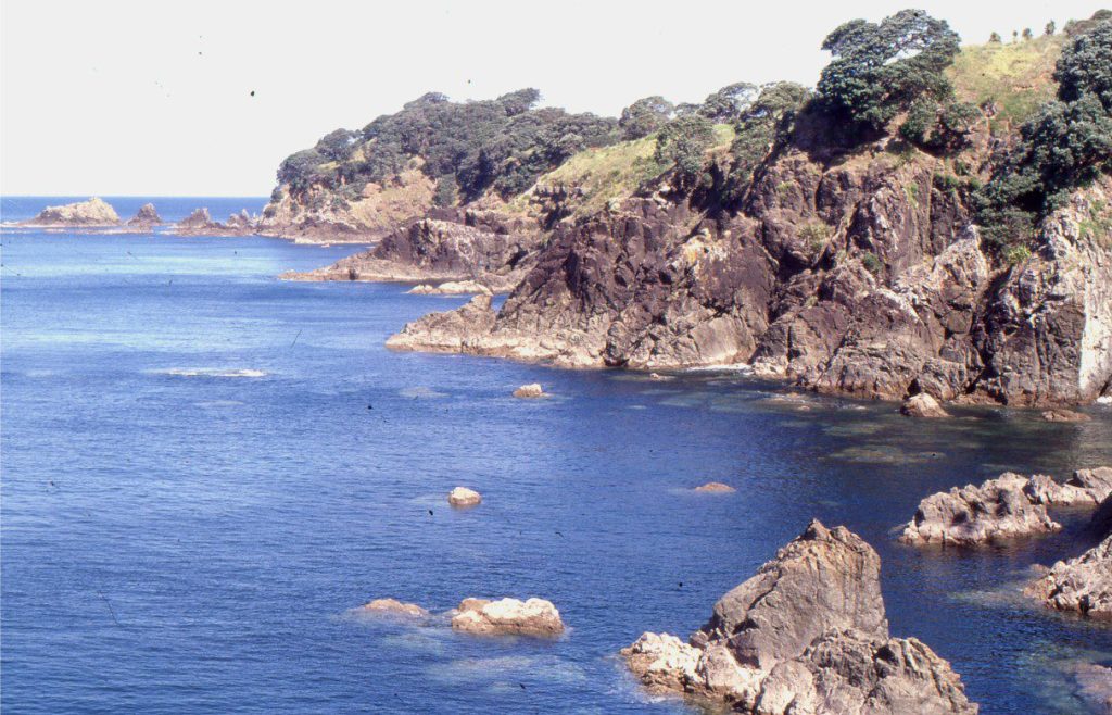 Pocket beaches blanketed by pebbles, cobbles and boulders, secreted away among rocky promontories, islets, nooks and crannies. One of the many rocky coasts of north Auckland.