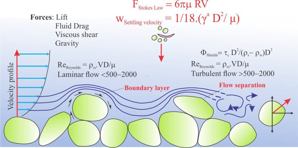 Stokes Law for particle settling in a schematic context of other fluid flow functions