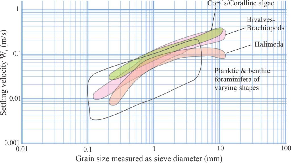 Experimentally determined settling velocities for a variety of bioclastic grains, for grain sizes ranging from very fine sand to fine pebbles. The original data plots have been redrawn as data envelopes from de Kruif et al., 2021, Figures 12 and 13. Note that Kruif et al., report Ws in cm/s – here they are plotted as m/s for easy comparison with the other graphical plots. The data for bivalves is comparable with the data shown above from Rieux et al., 2019. Important determinants of Ws are bioclast size, shape, and bulk density – more streamlined grains fall faster than those having irregular or concavo-convex shapes, or significant surface roughness. Sieve diameter measures the minimum grain diameter that will fall through a particular mesh size. 