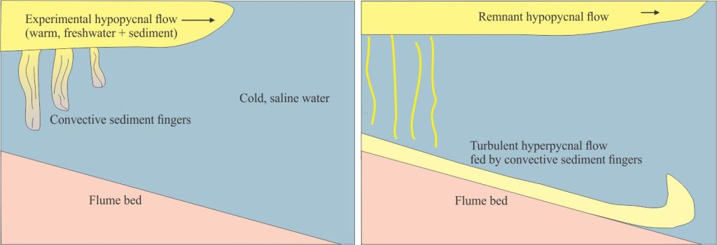 Diagram, modified from Parsons et al., (2001, Fig. 3b), sketched from their flume experiments with hypopycnal plumes (about 60-70 cm long) that generated downward protruding sediment fingers from convective instabilities induced by the density contrast between the plume (warm, sediment-laden freshwater) and the cold, saline tank water. Hyperpycnal flows developed when the sediment fingers interacted with the sloping tank floor. 