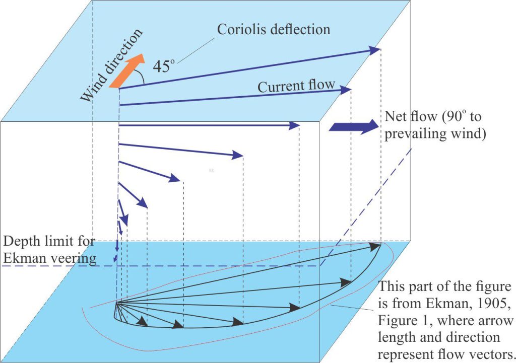 A diagrammatic representation of Ekman veering of water masses, and the development of an Ekman spiral (blue arrows). The depth limit of Ekman veering depends on wind strength and is indicated here by the horizontal dashed line. The lower part of the diagram is projected from the spiral – this projection was shown in the original 1905 paper by Vagn Ekman. Diagram is modified from ‘Offshore Engineering, Chapter 3 https://www.offshoreengineering.com/oceanography/ekman-current-upwelling-downwelling/ [Note 1: Ekman’s mathematical analysis of the effects of Earth’s rotation on ocean currents was based on observations by the famed Arctic explorer Fridtjof Nansen, who noted that icebergs along with his ice-fast ship (Fram) consistently deviated in their direction of movement by 20o to 40o to the right of the prevailing wind direction. Nansen also surmised that successive layers of water deviated further than the preceding layer, and that the deviations were a result of Earth’s rotation] Ekman, 1905. http://empslocal.ex.ac.uk/people/staff/gv219/classics.d/Ekman05.pdf 