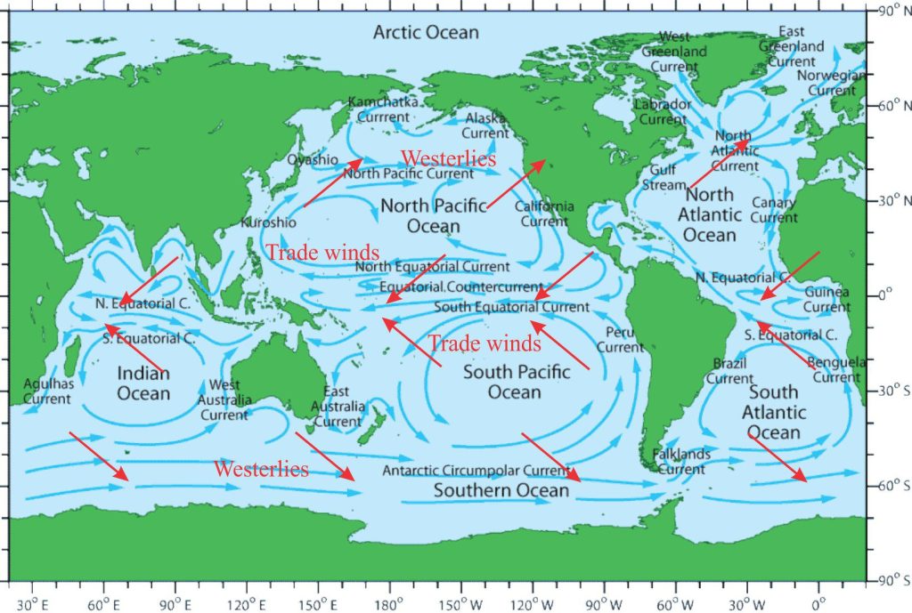 An outline of the principal ocean gyres, the Circum-Antarctic current, and several smaller circulation cells. The red arrows represent the primary wind directions of the principal belts of westerly and Trade Wind air flow. Ocean gyre flow is clockwise in the northern hemisphere and anticlockwise in the southern hemisphere. Map from SEOS Project; Carl von Ossietzky University of Oldenburg https://seos-project.eu/oceancurrents/oceancurrents-c02-p03.html CC BY-NC-SA 2.0.