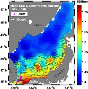 Surface geostrophic currents (black vectors) and sea surface heights (SSH) determined from VISO satellite altimeter data and coastal sea level data for the Sea of Japan between Korean Peninsula and Honshu Island. Sea surface heights are in metres relative to Global Mean Sea Level. The 500 m isobath has been added (black dashed line). Geostrophic currents are mostly coast-parallel across the Honshu shelf but develop 200-300 km diameter eddies farther offshore. UBIM is an ocean buoy. EKWC = East Korea Warm Current. SE = Sokcho Eddy. Image credit: Modified slightly from Son et al., 2014. Honshu I. License CC BY 3.0 