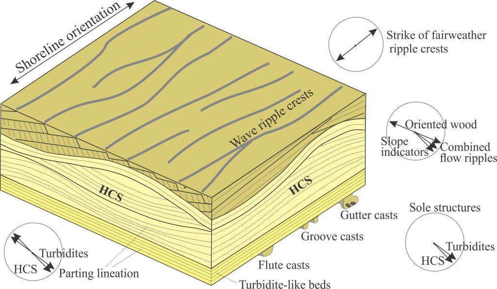 With this diagram I have taken the liberty of extracting a segment of Figure 4 from Leckie and Krystinik (1989) and adding summaries of their paleocurrent data from their Figure 3. The paleocurrent direction for each set of sedimentary structures is presented as the vector mean (arrows), oriented relative to a hypothetical shoreline that was determined from the orientations of fairweather wave-ripple crests. Flute casts and combined-flow ripples allow for reasonably unambiguous paleocurrent determination; groove and gutter casts, parting lineation, and wood orientation are ambiguous indicators of paleocurrents (i.e., their indicated flow directions are 180o apart).