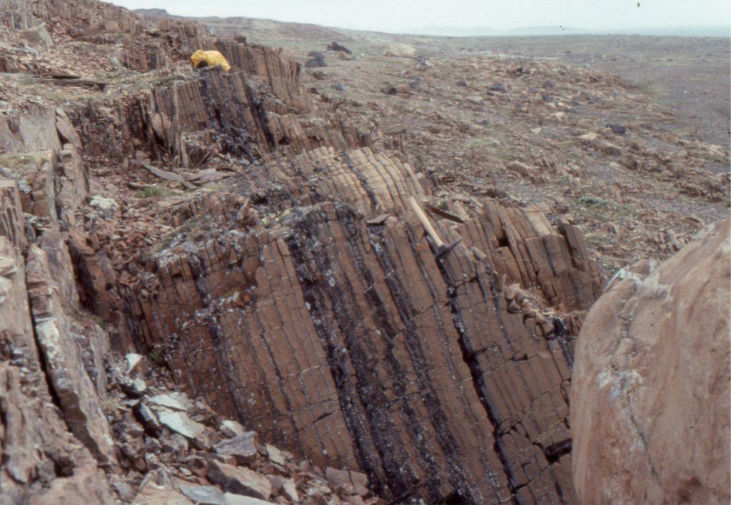 Paleoproterozoic hemipelagites deposited on a carbonate slope. Each bed shows some degree of normal grading of fine-grained sand to thin laminated shale; the sand-sized fraction is a mix of carbonate (dolomite) and siliciclastic grains. Stratigraphic top is to the right. Costello Formation, Belcher Islands, Hudson Bay.