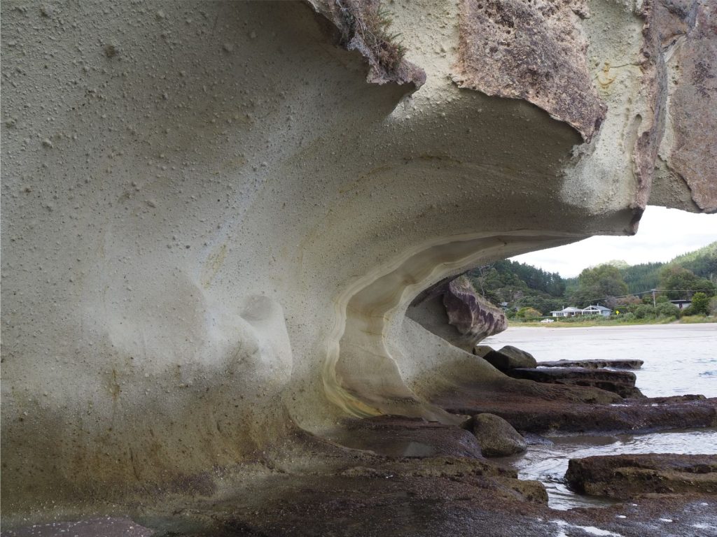 An example of reverse grading of pumice fragments in a thick, non-welded ignimbrite. The curved face of the outcrop is about 2 m high. Clasts near the top of this view are about 8 cm wide; those at the base usually less than 1-2 cm. Late Miocene – Pliocene. Flaxmill Bay, Aotearoa New Zealand.