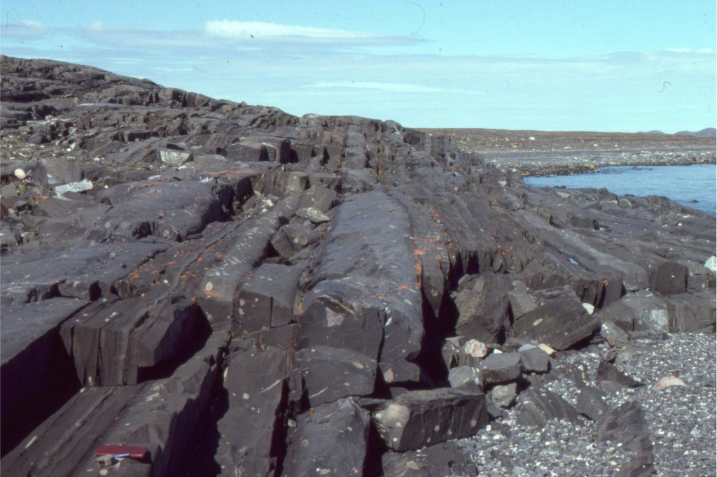 Graded Bedding Definition Geology at Renee Alston blog