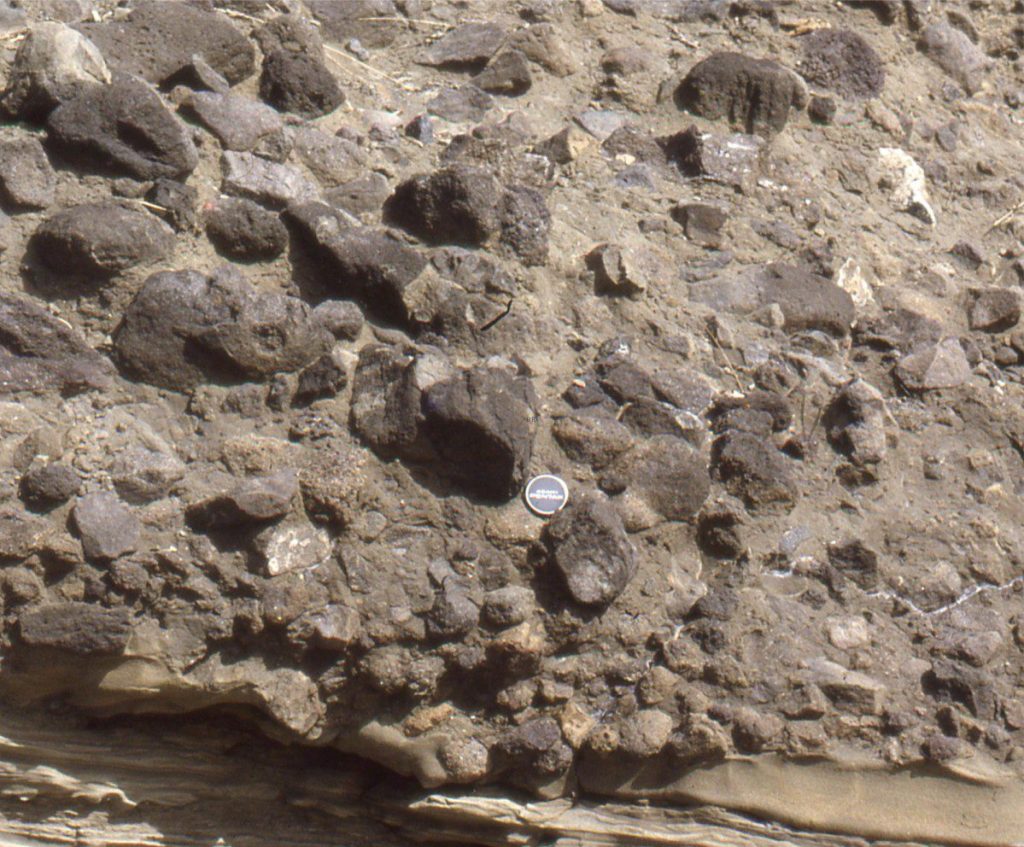 The basal metre of this volcaniclastic, submarine debris flow contains a reverse graded interval above the scoured basal contact - the top of this interval is about the level of the lens cap. From the Lower Miocene Waitemata Basin, Auckland, Aotearoa New Zealand.