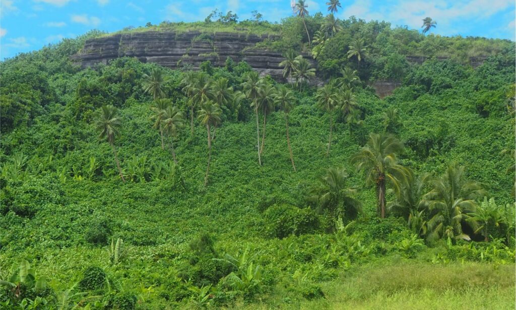 The western bluff of Mauna Pu, the highest point on Aitutaki at 123 m a.s.l, is held up by parallel bedded volcaniclastics that extend about 150 m across this view (from the main road).