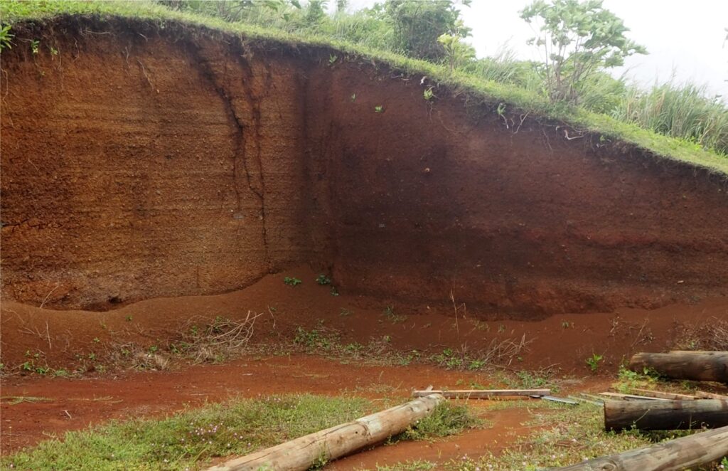 The volcaniclastics are nicely exposed in this recent excavation on the flank of Mauna Pu, Aitutaki. Primary parallel bedding is accentuated by variations in grain size and the colour of iron oxide alteration. The pit wall is 4 m high. The depth of chemical weathering is well represented here.