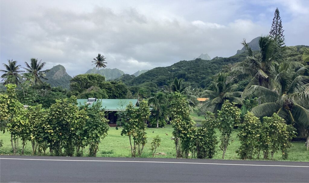 The highly dissected volcanic terrain of Rarotonga, viewed from the northeast towards Te Manga (the distant flat-topped summit above the cottage green roof), that boasts the highest elevation at 653 m.