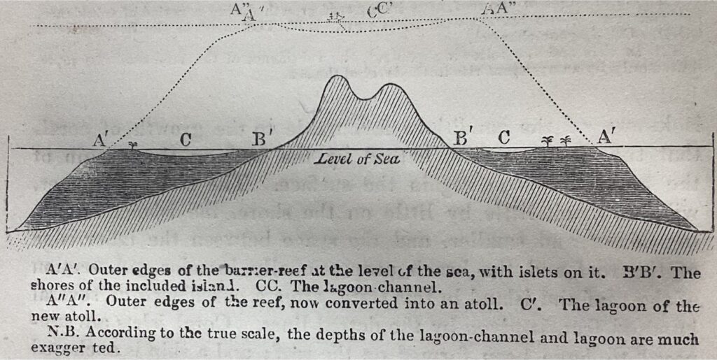 Darwin’s barrier reef – atoll succession copied from his 1888 edition of Journal of Researches into the Natural History and Geology of the Countries Visited During the Voyage of H.M.S. Beagle Round the World, page 474, John Murray, London.

[Darwin’s original The structure and distribution of coral reefs, 1842, is reproduced by Darwin Online]  