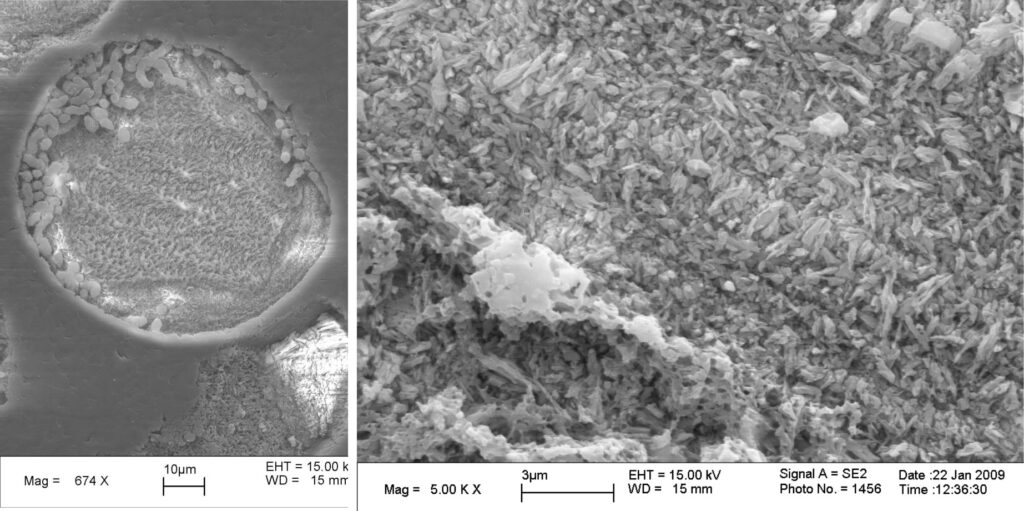 Left: Scanning Electron Micrograph of a subspherical ooid with asymmetric growth of concentric layers (more numerous in the lower portion), around an angular, possibly skeletal nucleus. The outer layers at top are bored – borings are similar to some published examples of endolithic cyanobacteria (e.g. Duguid et al., 2010). Right: Detail of crystal structure and orientation for several cortices – the main crystal arrangements vary from either parallel or normal to the cortex boundary. Both images courtesy of Gene Rankey.