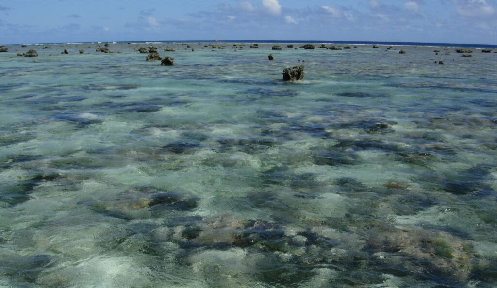 Shallow water depths over the sand apron frequently leave large limestone blocks exposed – these blocks are derived from the forereef and reef crest during major storms. The blocks provide a substrate for growth of coral and other species. Image courtesy of Gene Rankey.