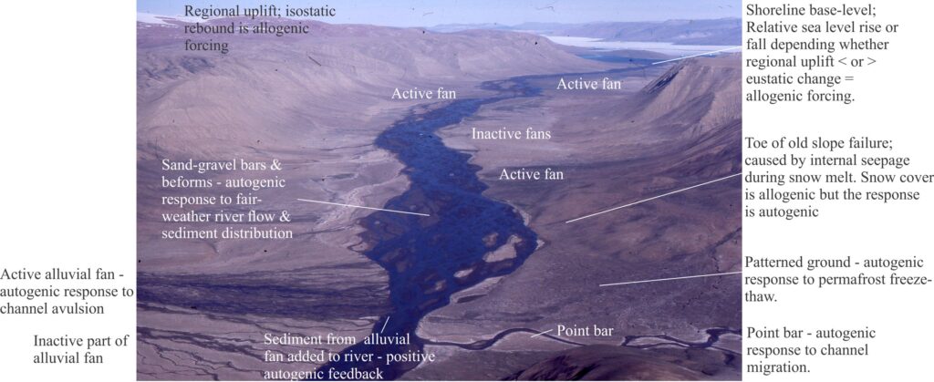 A small drainage basin on Ellesmere Island (Arctic Canada) consisting of a single braided trunk river and marginal alluvial fans of various sizes. The main river drains into Cañon Fiord – the shoreline is the regional base-level. Many processes withing the fans, river and adjacent hillslopes (including an old landslide) are autogenic responses to the continuing dynamics of sediment dispersal and storage and hillslope dissection. For example, in the channel new bedforms evolve from sediment reworked from older bedforms and bars. Channel switching across the alluvial fans is autogenic under ‘normal’ conditions of stream flow, gradient, and sediment availability. Likewise, we could argue that sediment fed from the fans and the old landslide to the river is autogenic (in the context of the whole drainage basin), and from the perspective of the river a positive feedback mechanism where the sand and gravel are reshaped into channel bars. 