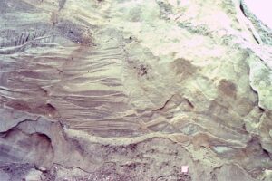 Ice-contact deformation of outwash sands along small listric faults, that appear to detach at the contact with pebbly sand below. Field note book for scale. Bradner Road pit.